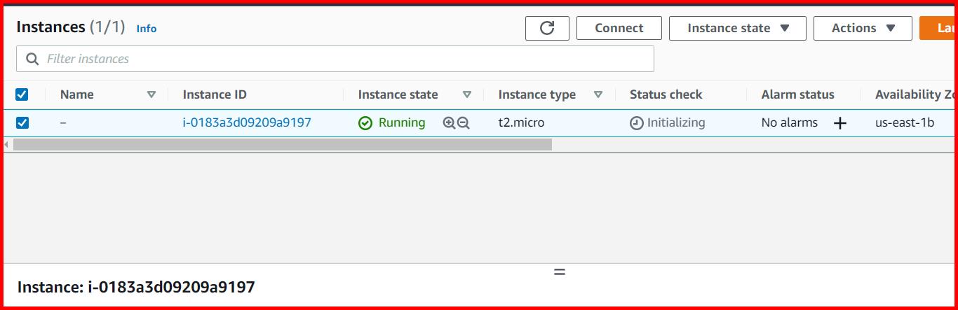 Picture showing the EC21 created with instance state equal to running